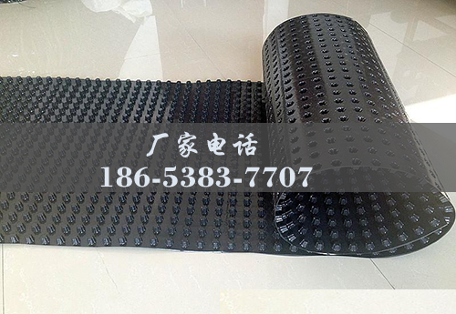 排水板廠家http://www.lyjwcxx.com.cn/