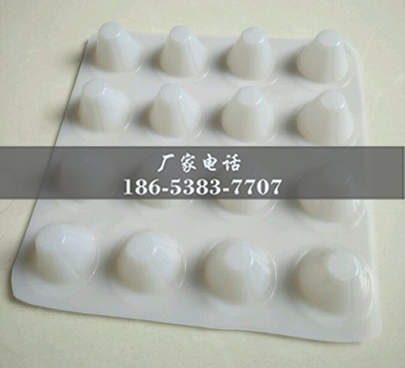 排水板廠家http://www.lyjwcxx.com.cn/